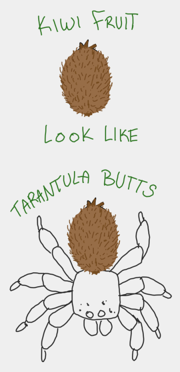 tarantula kiwi